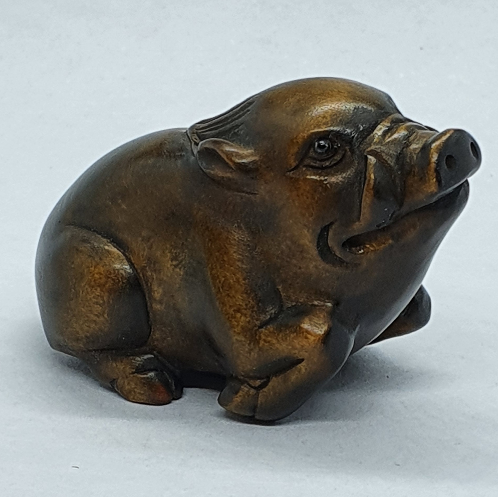 netsuke pig